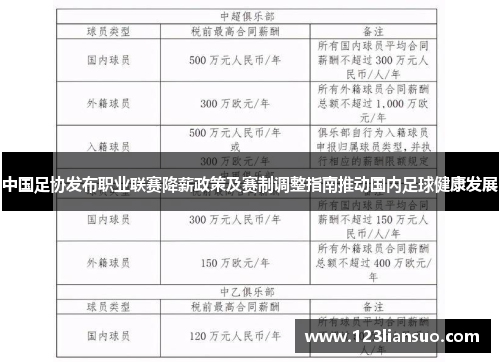 中国足协发布职业联赛降薪政策及赛制调整指南推动国内足球健康发展