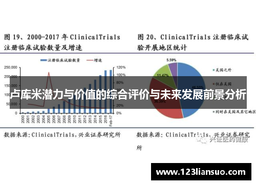 卢库米潜力与价值的综合评价与未来发展前景分析